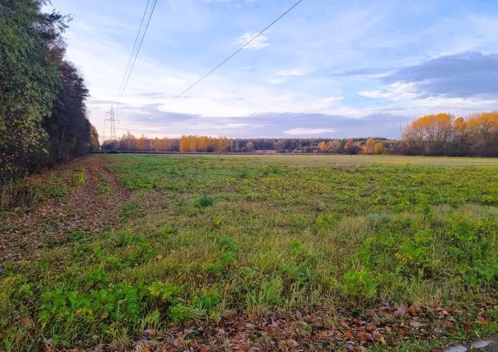 Działka inwestycyjna Kosewko. Zdjęcie 2