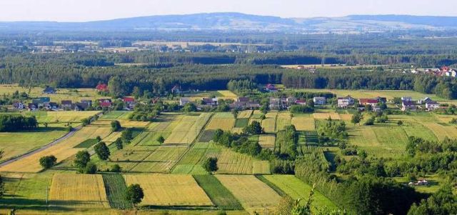 Działka rolno-budowlana Piekoszów. Zdjęcie 1