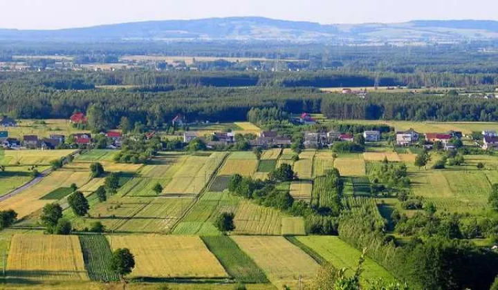 Działka rolno-budowlana Piekoszów