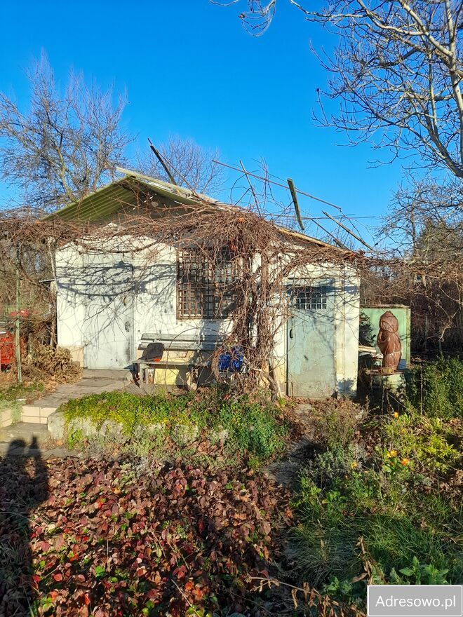 Działka rod Wrocław Krzyki, ul. Zabrodzka. Zdjęcie 2