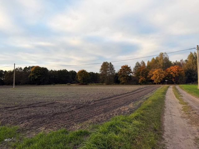 Działka budowlana Kuźnica Zbąska. Zdjęcie 1