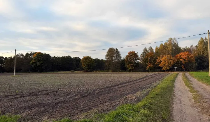 Działka budowlana Kuźnica Zbąska