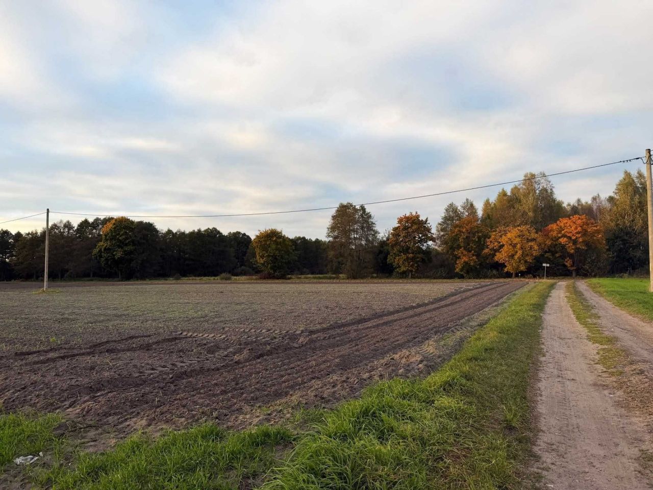 Działka budowlana Kuźnica Zbąska. Zdjęcie 1
