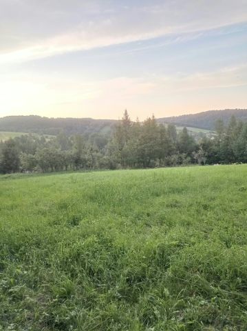 Działka budowlana Bukowiec. Zdjęcie 2