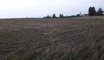 Działka budowlana Śliwice, ul. Świecka
