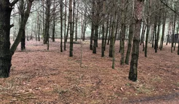 Działka na sprzedaż bez pośredników          
          
            Popowo-Parcele – pohled 5