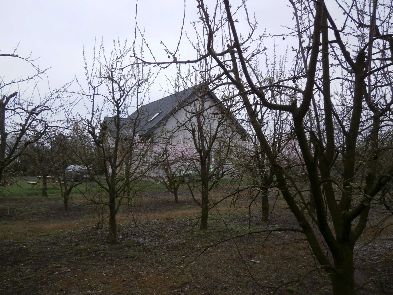 dom wolnostojący Sadlno. Zdjęcie 4