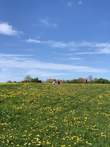 Działka inwestycyjna Ukta. Zdjęcie 1