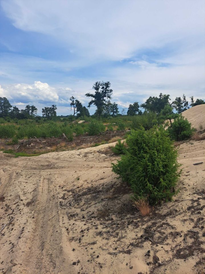 Działka rekreacyjna Kosiorów. Zdjęcie 4