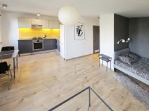 Mieszkanie 1-pokojowe Katowice Dolina Trzech Stawów, ul. Graniczna. Zdjęcie 1