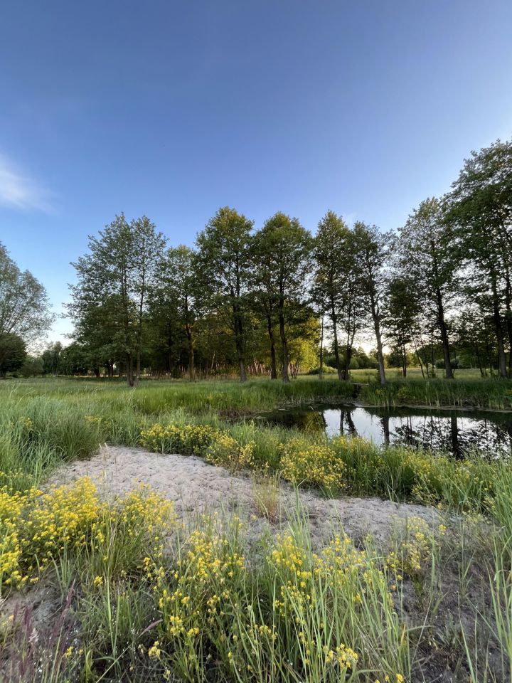 Działka siedliskowa Aleksandrów. Zdjęcie 8