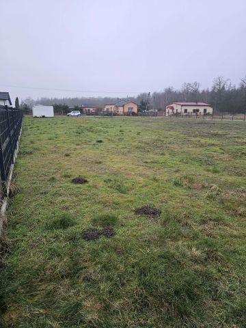 Działka siedliskowa Kajew. Zdjęcie 5