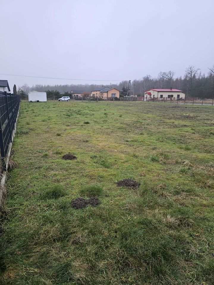 Działka siedliskowa Kajew. Zdjęcie 5