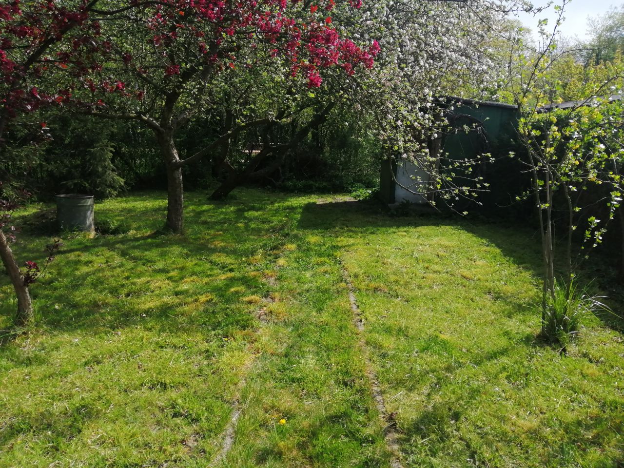 Działka rod Gliwice Śródmieście, ul. Feliksa Orlickiego. Zdjęcie 12