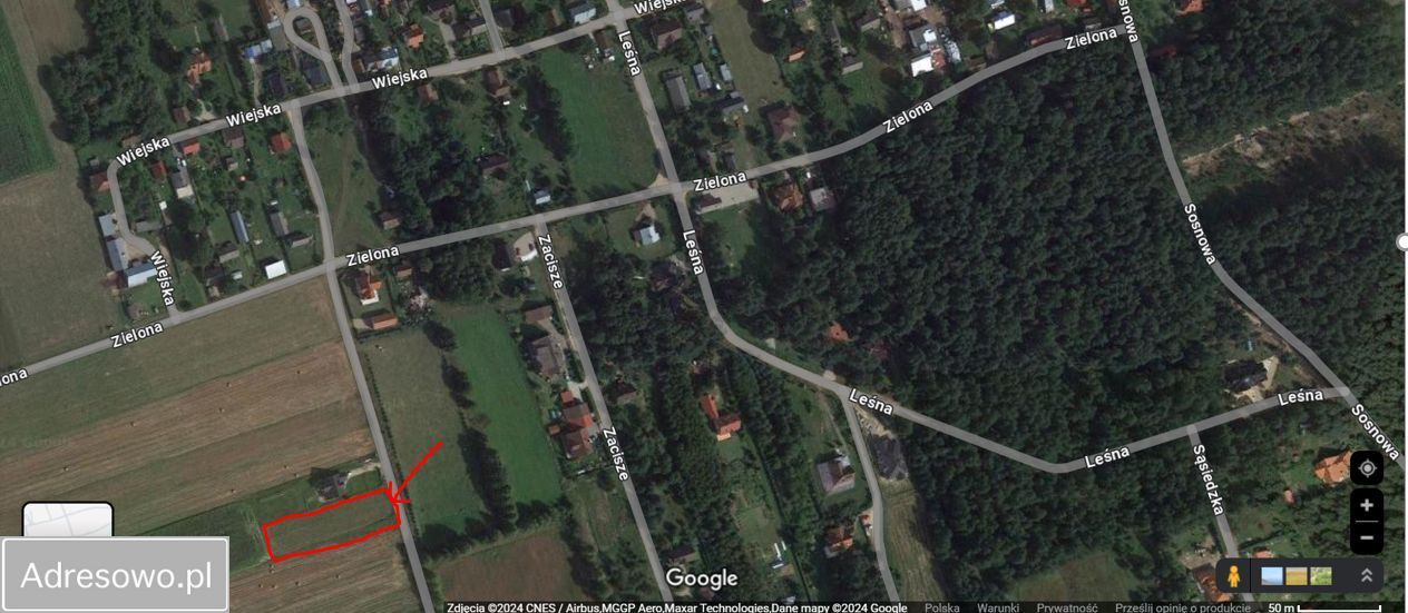 Działka budowlana Oliszki. Zdjęcie 2