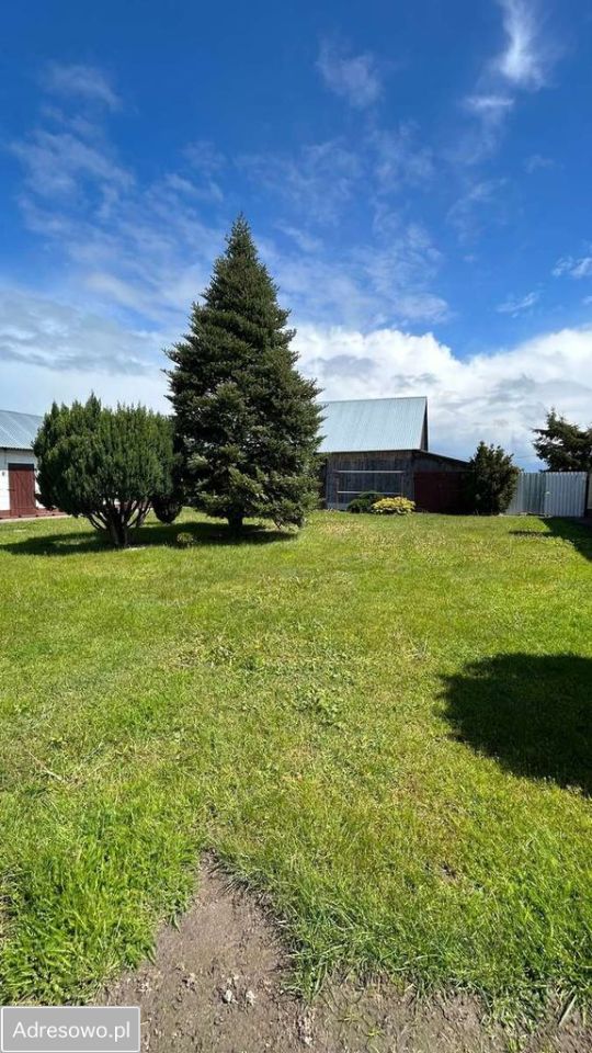 gospodarstwo, 3 pokoje Jeleń. Zdjęcie 11