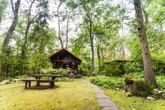 dom wolnostojący, 6 pokoi Poddębie, ul. Sosnowa. Zdjęcie 4