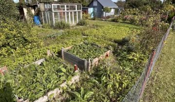 Działka rod Pruszcz Gdański, ul. Gdańska