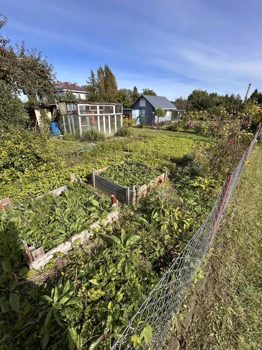 Działka rod Pruszcz Gdański, ul. Gdańska. Zdjęcie 2