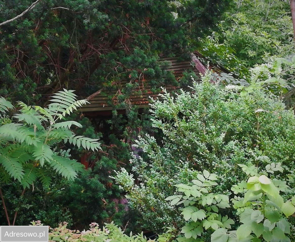 Mieszkanie 3-pokojowe Ruchna. Zdjęcie 17