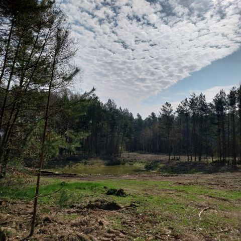 Działka rolno-budowlana Zelgoszcz, Wybudowanie. Zdjęcie 1