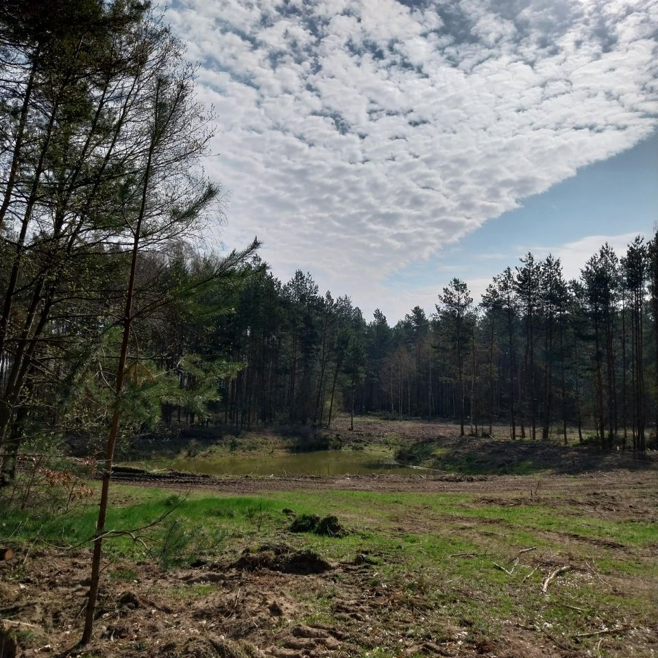 Działka rolno-budowlana Zelgoszcz, Wybudowanie