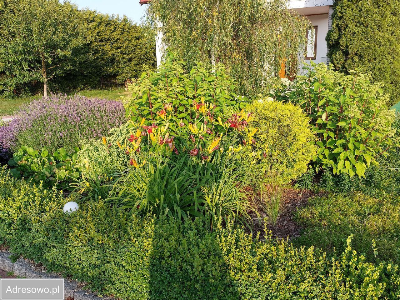 dom wolnostojący, 9 pokoi Pasieka. Zdjęcie 16