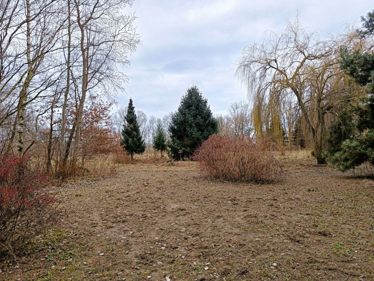 dom wolnostojący, 6 pokoi Nowe Gnatowice. Zdjęcie 43