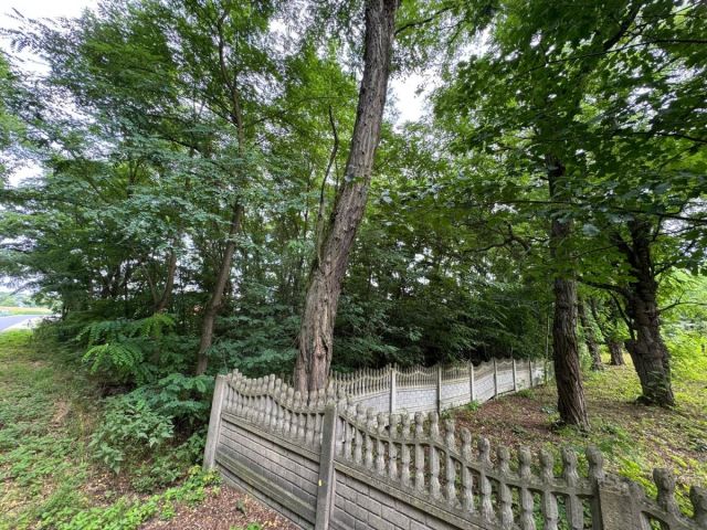 Działka budowlana Jankowa. Zdjęcie 7