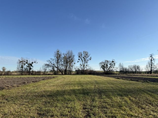 Działka rolno-budowlana Tyniewicze Małe. Zdjęcie 1