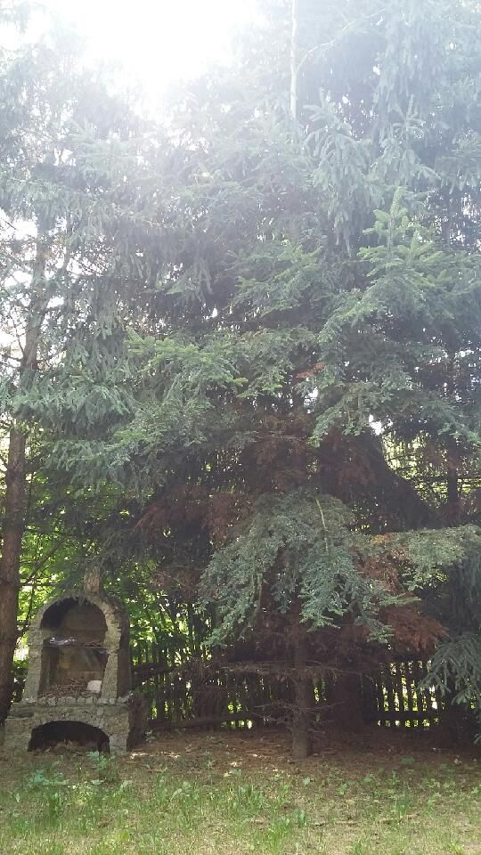 inny, 5 pokoi Sady Górne, Sady Górne. Zdjęcie 19