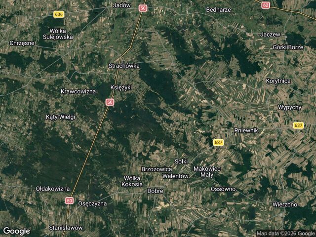 Działka rolno-budowlana Ruda-Pniewnik. Zdjęcie 1