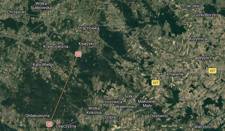 Działka rolno-budowlana Ruda-Pniewnik