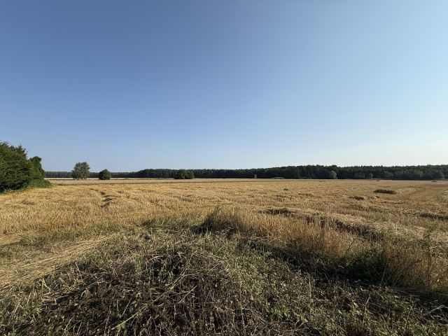 Działka budowlana Czmoń, ul. Polna. Zdjęcie 1