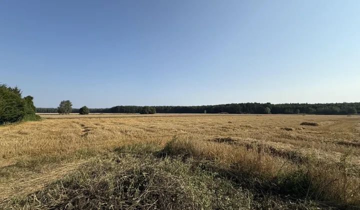 Działka budowlana Czmoń, ul. Polna