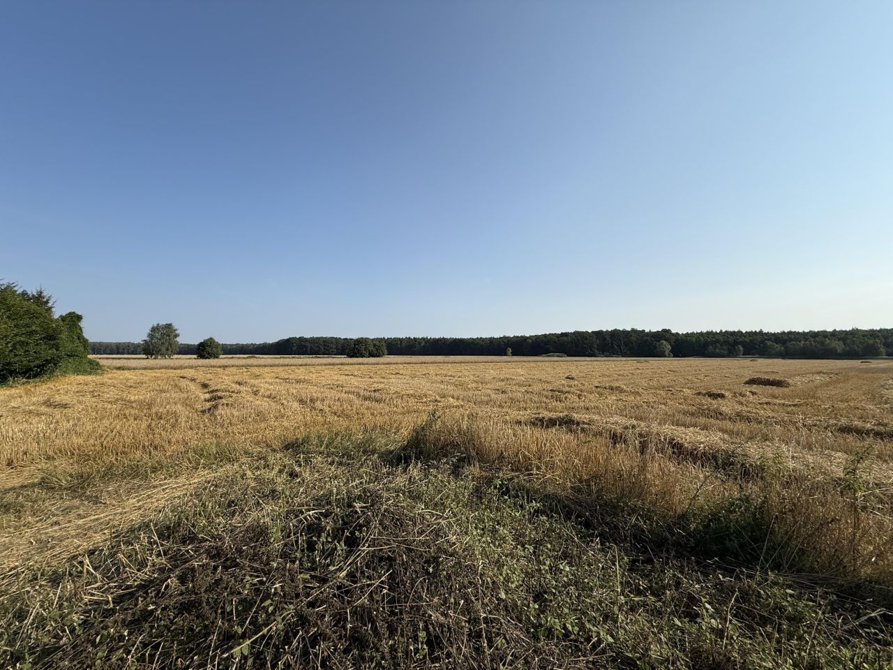 Działka budowlana Czmoń, ul. Polna. Zdjęcie 1
