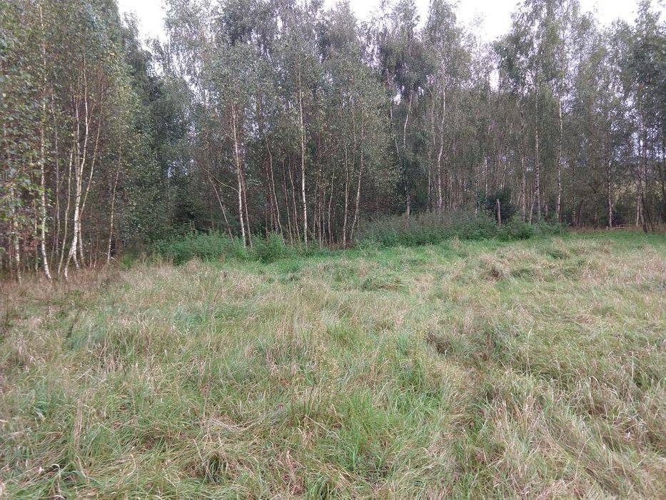 Działka rolna Chełmżyca. Zdjęcie 3