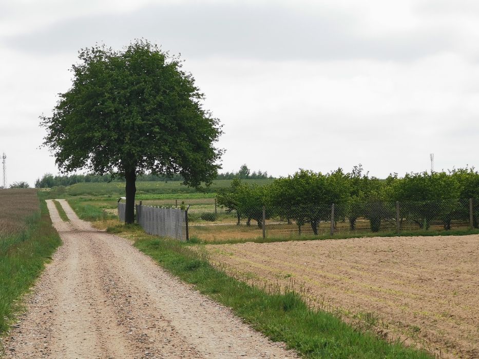 Działka rolno-budowlana Stróżewo