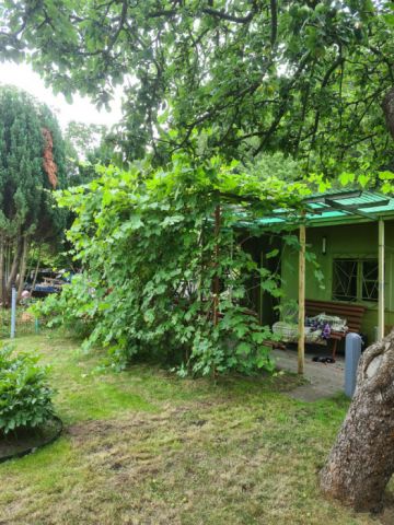 Działka rekreacyjna Sopot, ul. Mikołaja Reja. Zdjęcie 1