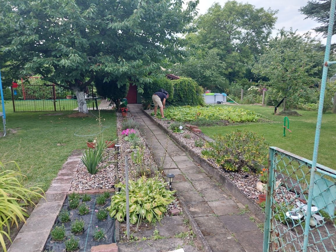 Działka rekreacyjna Szczecin Gumieńce, ul. Ku Słońcu