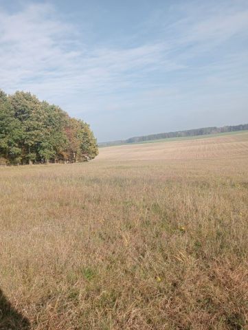 Działka budowlana Golczewo. Zdjęcie 1