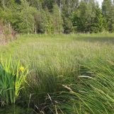 Działka rolna Wielki Klincz, ul. Kościerska. Zdjęcie 3