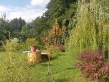 Działka rod Wieluń, ul. Elizy Orzeszkowej. Zdjęcie 2