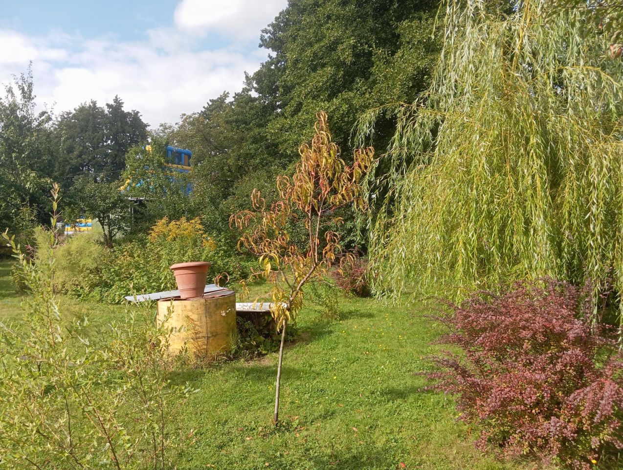 Działka rod Wieluń, ul. Elizy Orzeszkowej. Zdjęcie 3