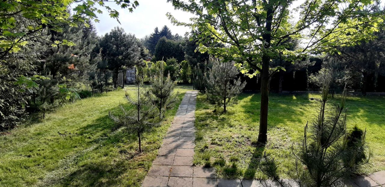 Działka rod Szczaki, ul. Mrokowska. Zdjęcie 3