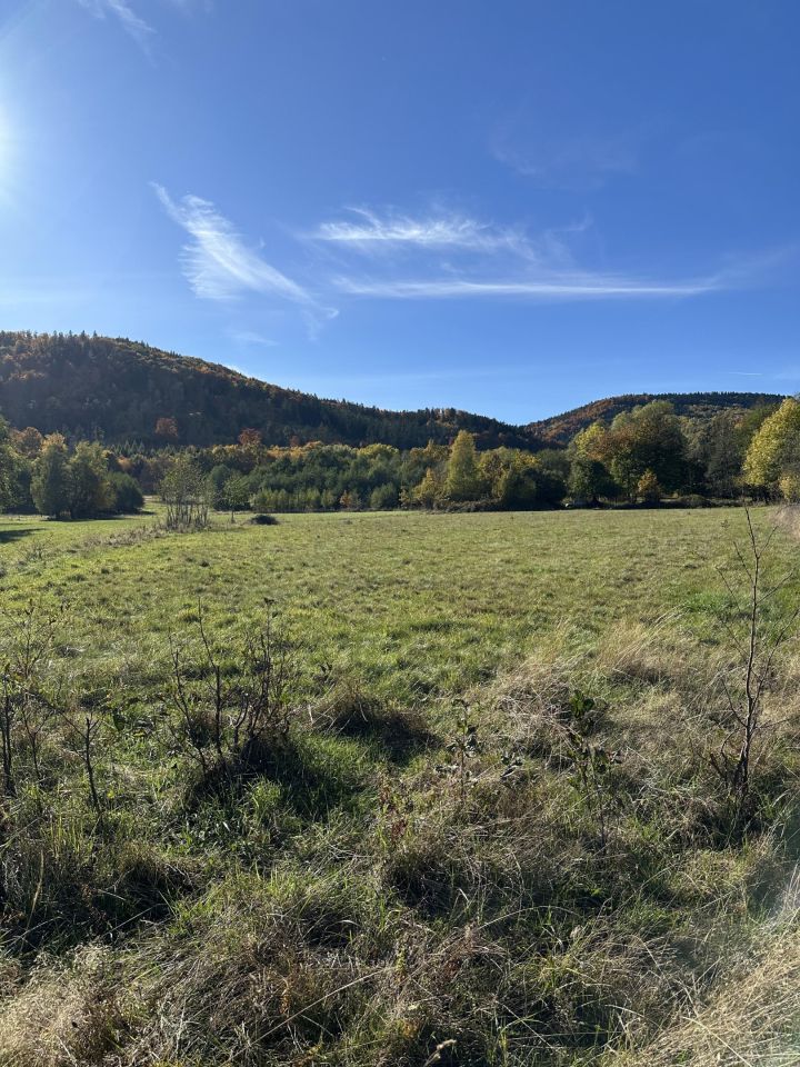 Działka budowlana Szczawina. Zdjęcie 2