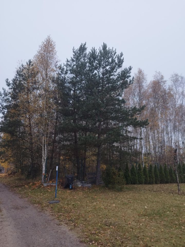 Działka budowlana Kalisz Pomorski, ul. Na Skarpie. Zdjęcie 3