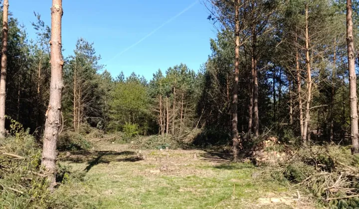 Działka budowlana Poradz