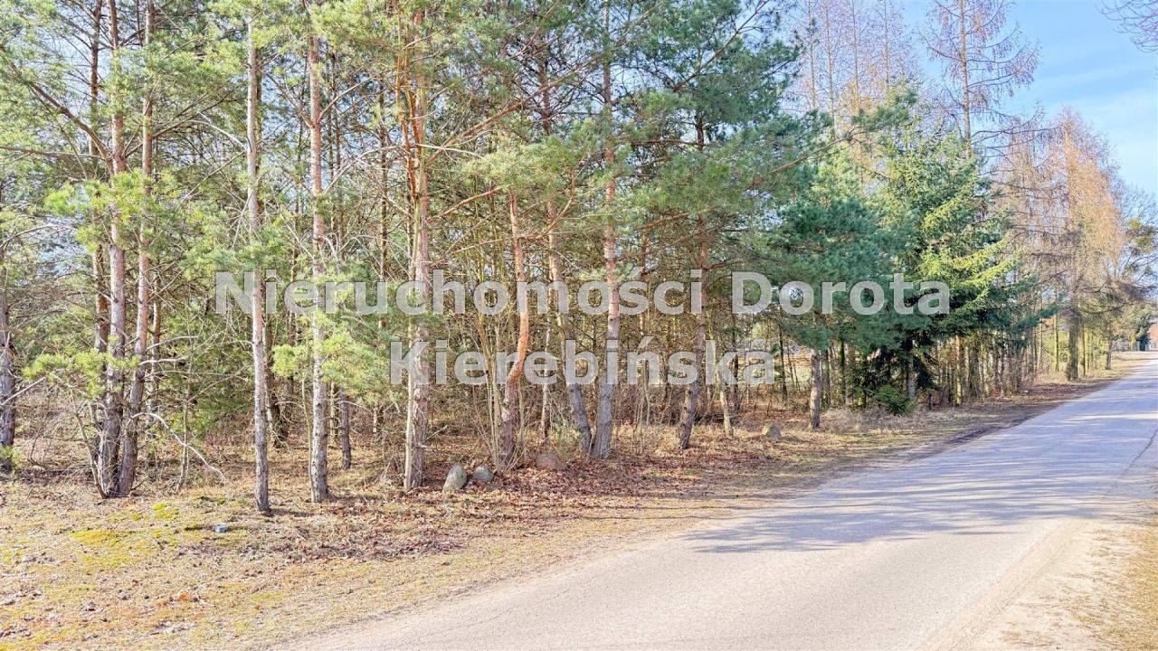 Działka budowlana Niewiadów. Zdjęcie 8