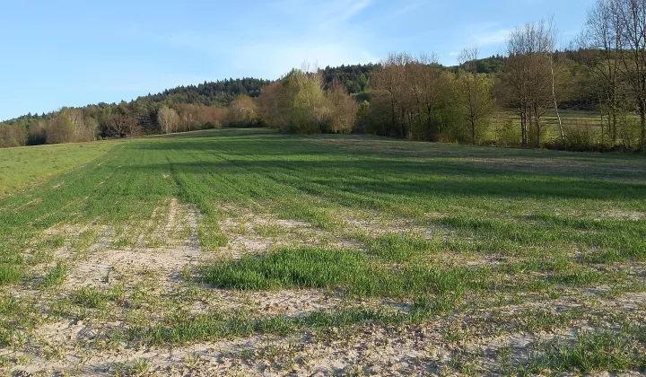 Działka rolna Wola Radziszowska, ul. Kalwaryjska